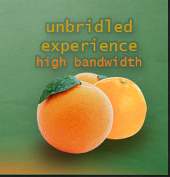 HIGH BANDWIDTH